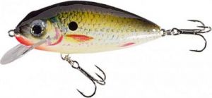 Wobler Jaxon Holo Select Limited Edition Tingo